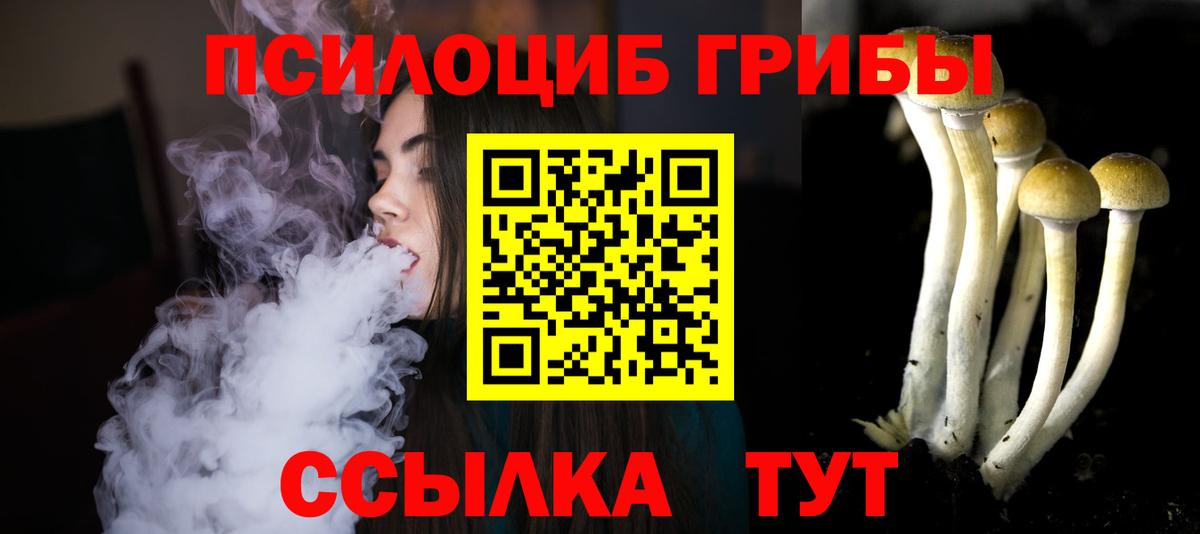 Похвистнево  Галлюциногенные грибы мицелий  Вход с VPN 